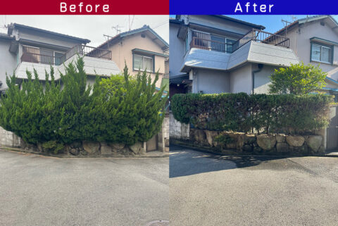 ビフォーアフター