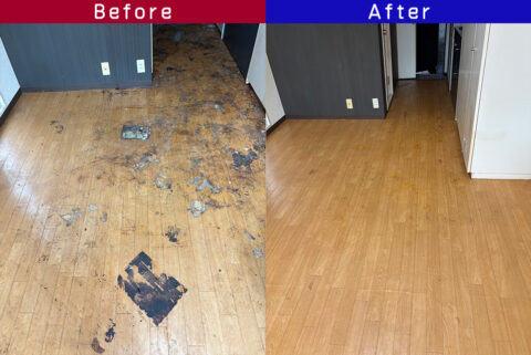 ビフォーアフター