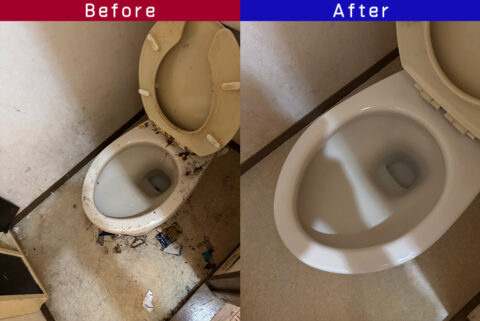 ビフォーアフター