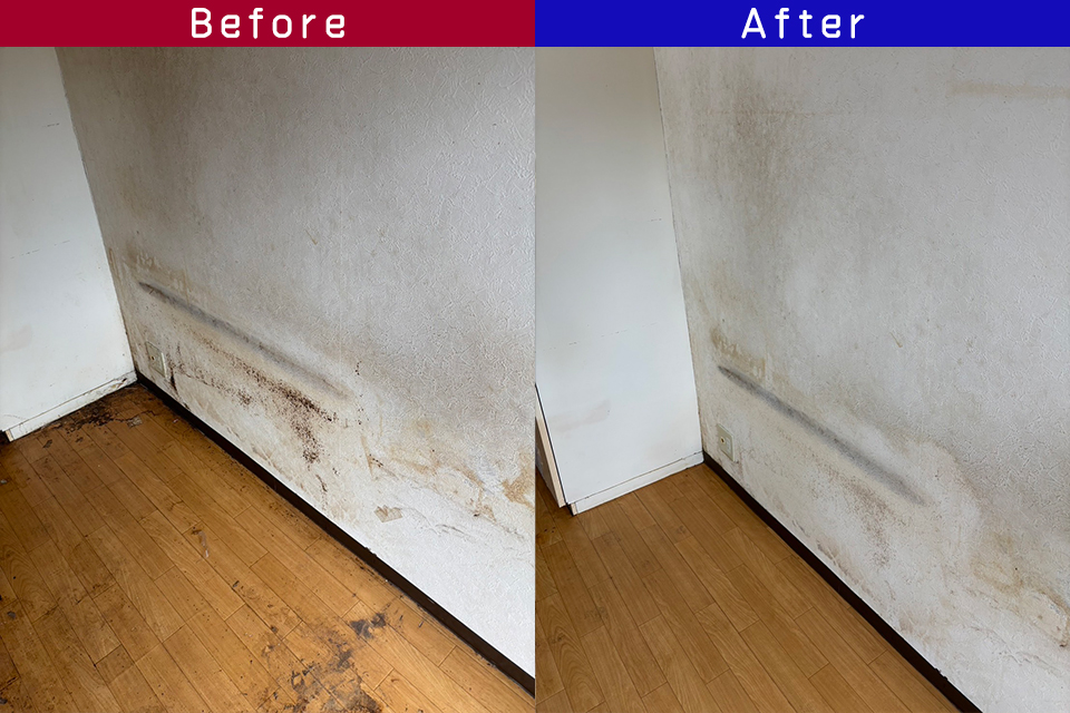 ビフォーアフター