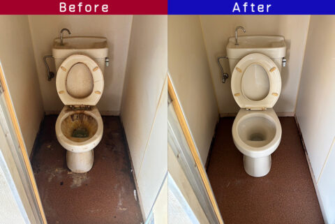 ビフォーアフター