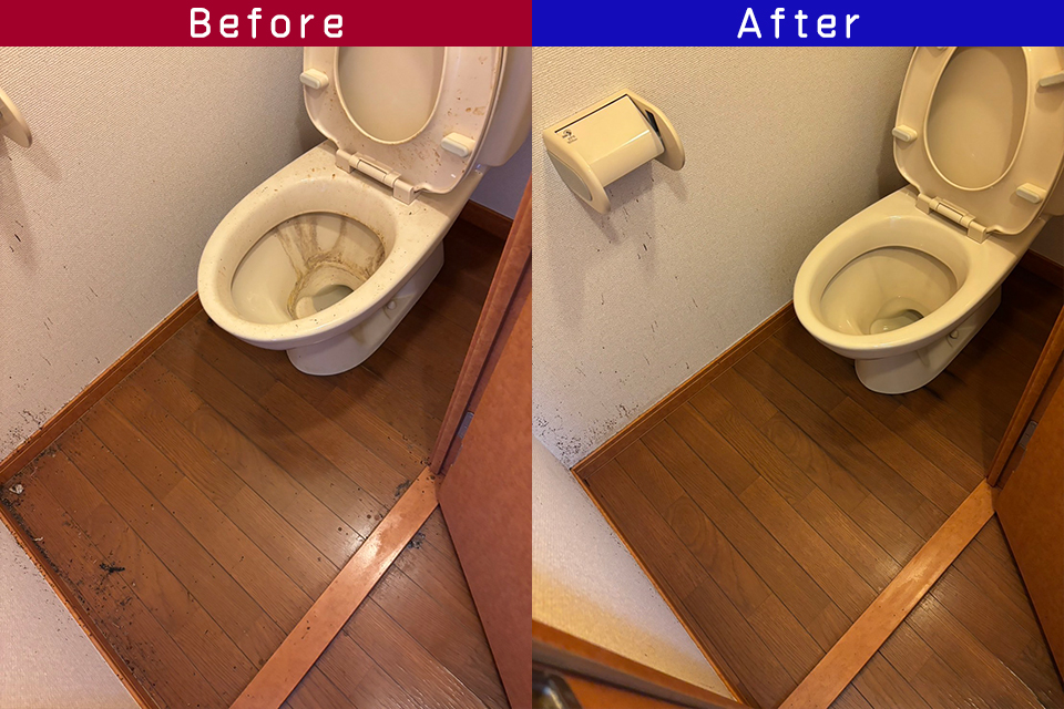 ビフォーアフター