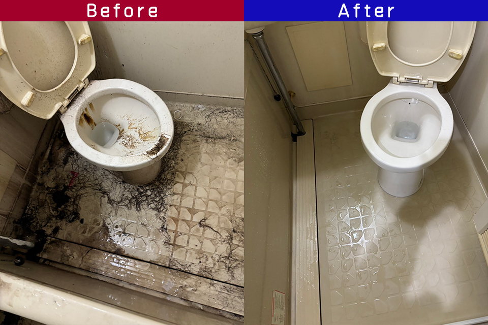 ビフォーアフター