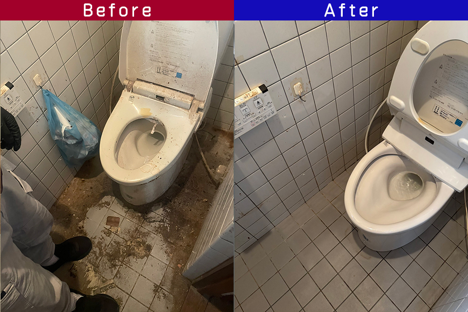 ビフォーアフター