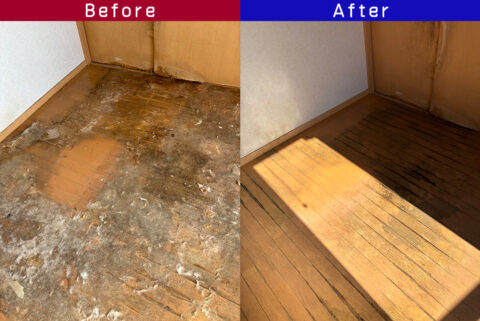 ビフォーアフター