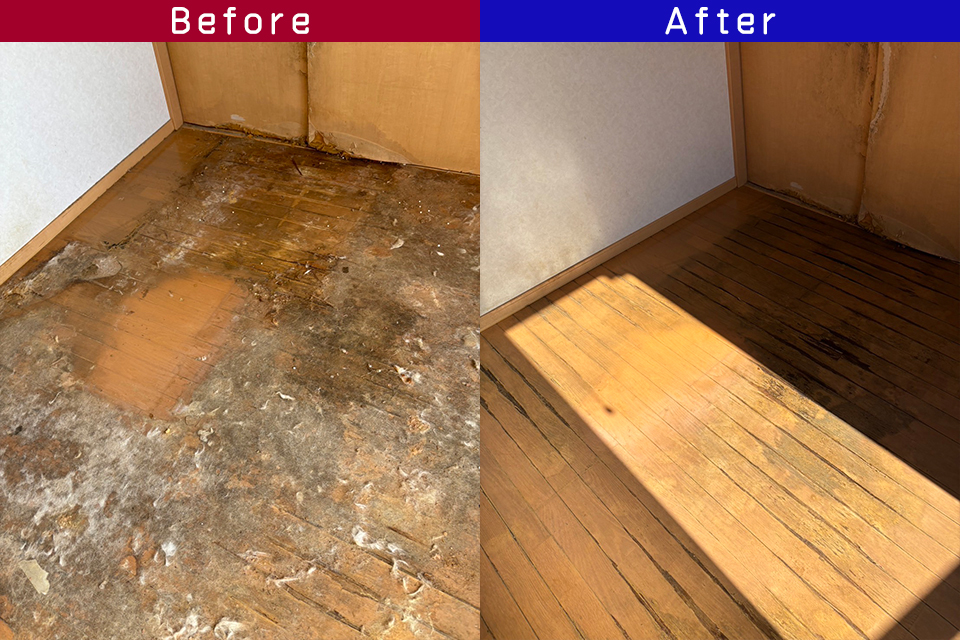 ビフォーアフター