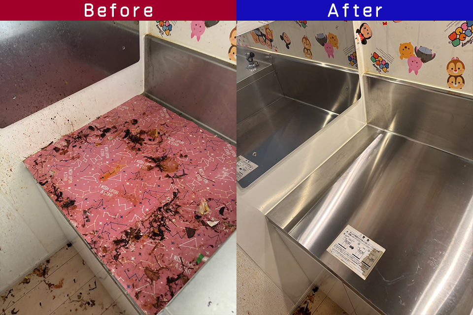 ビフォーアフター