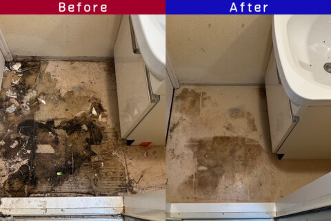 ビフォーアフター