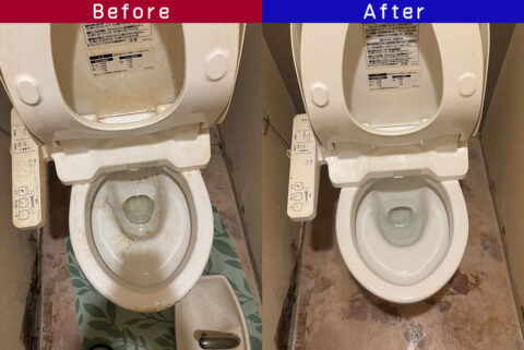 ビフォーアフター