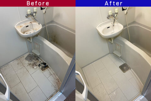 ビフォーアフター