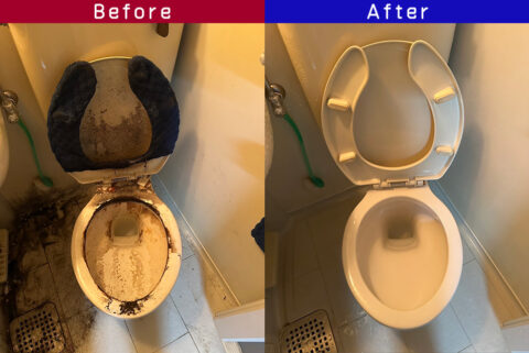 ビフォーアフター