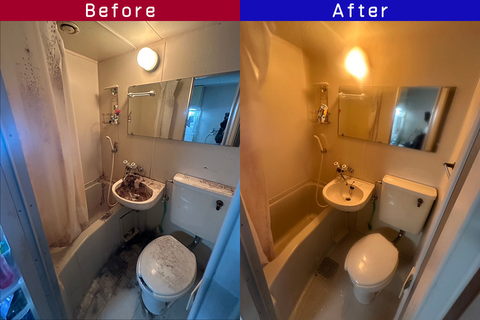 ビフォーアフター