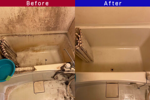 ビフォーアフター