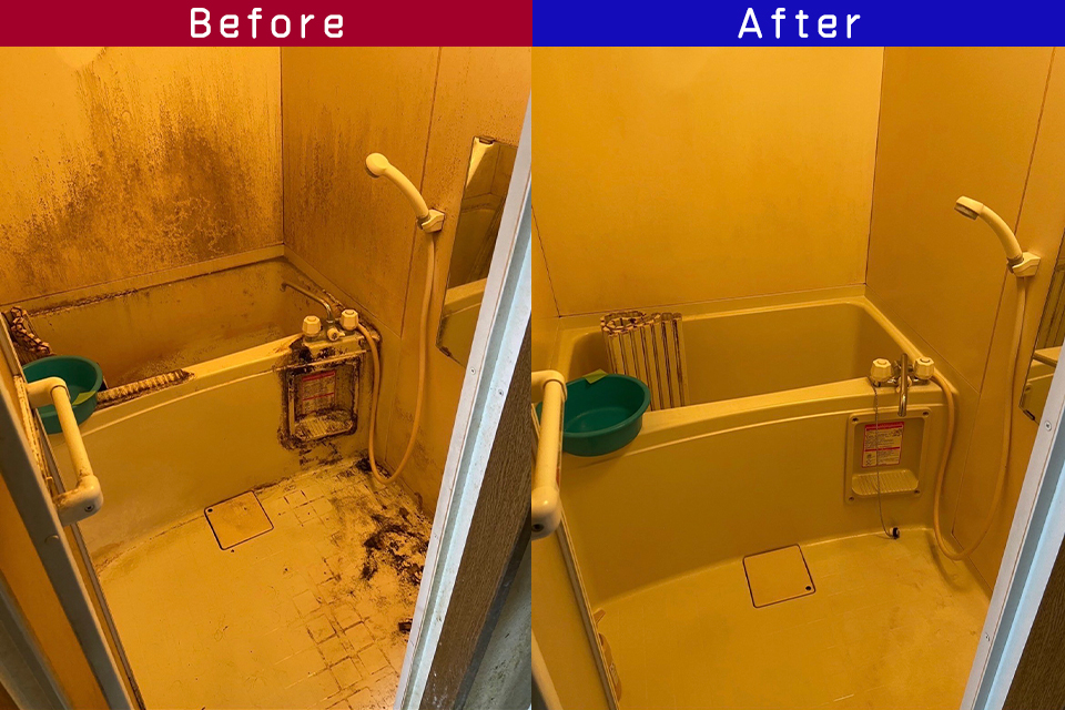 ビフォーアフター