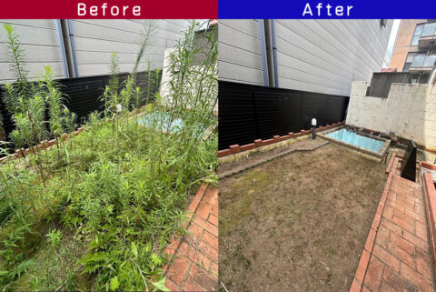 ビフォーアフター