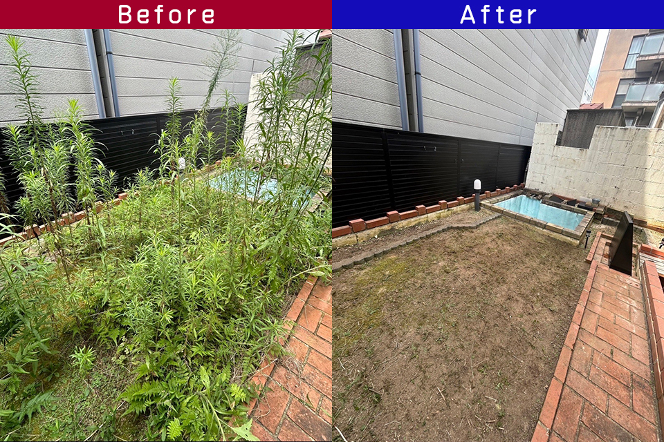 ビフォーアフター