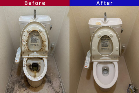 ビフォーアフター