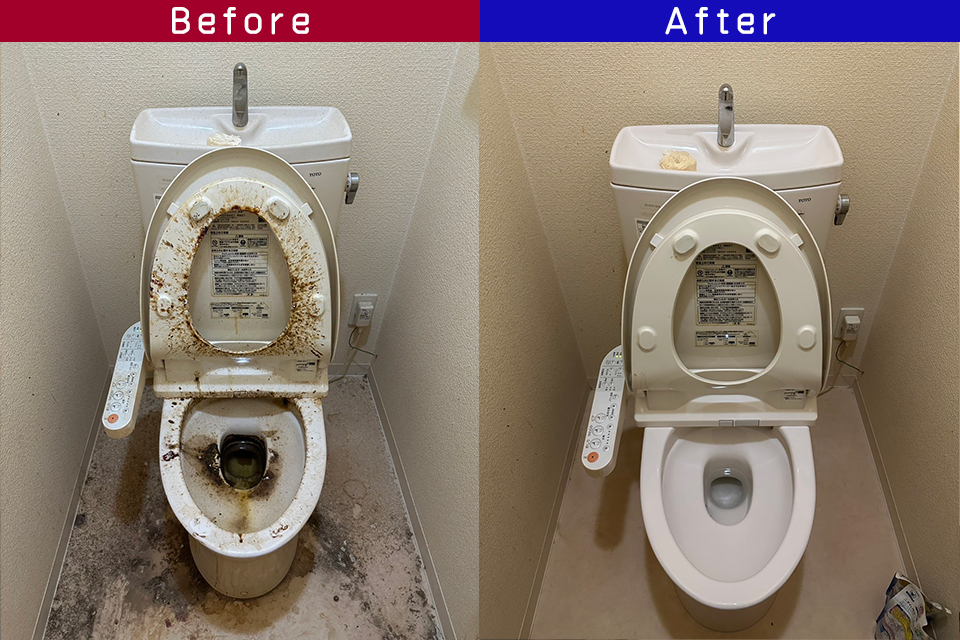 ビフォーアフター