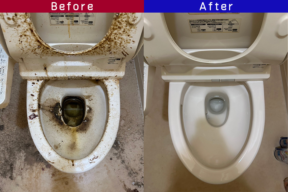 ビフォーアフター