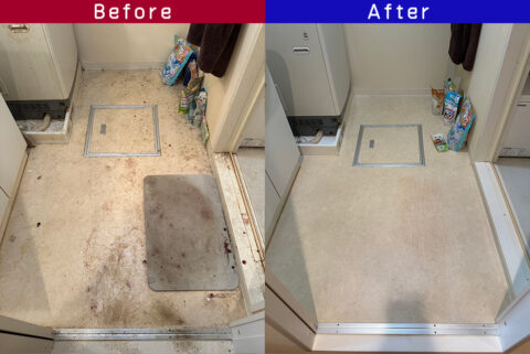 ビフォーアフター