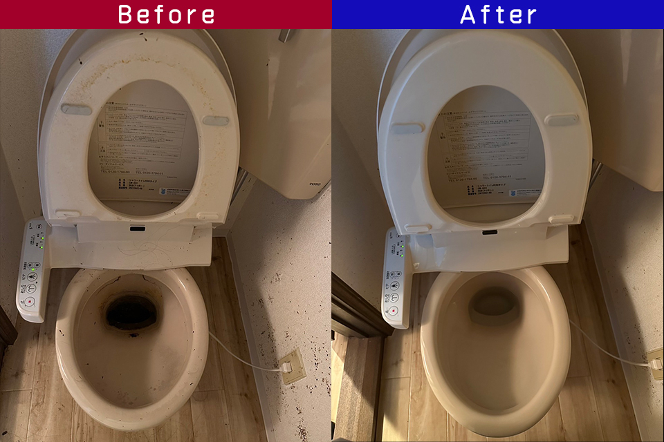 ビフォーアフター