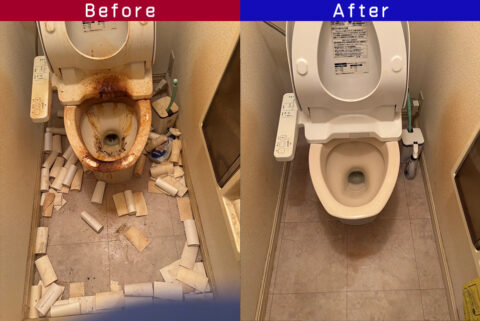 ビフォーアフター