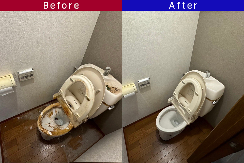 ビフォーアフター