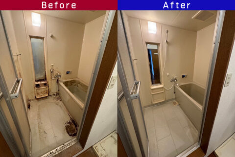 ビフォーアフター