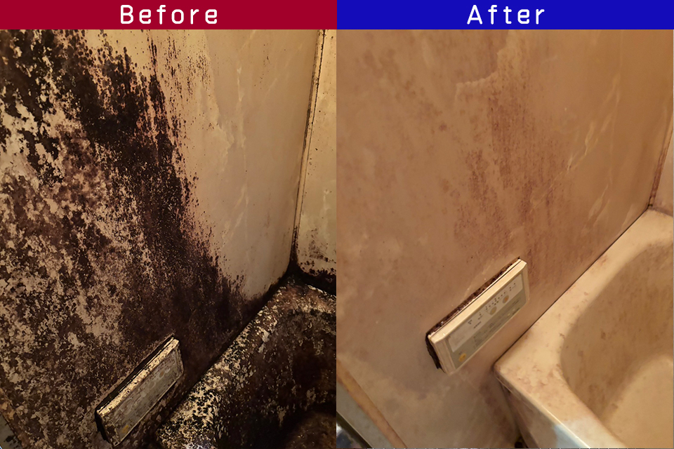 ビフォーアフター