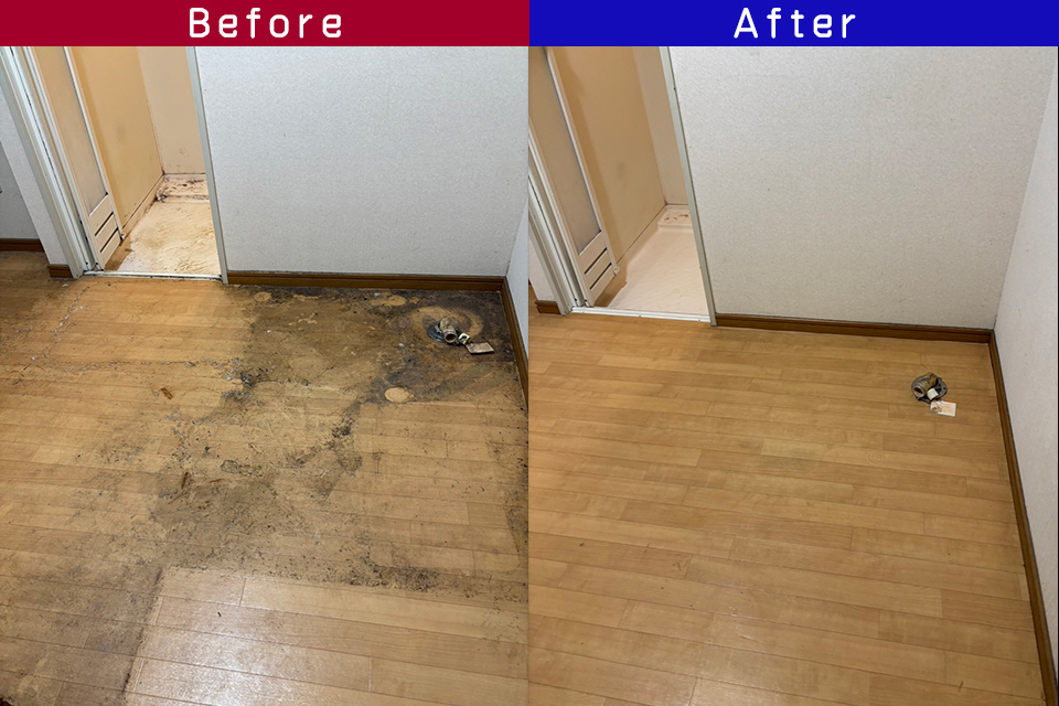 ビフォーアフター