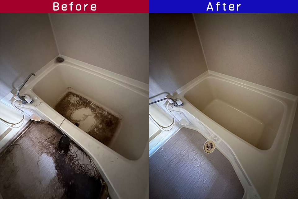 ビフォーアフター