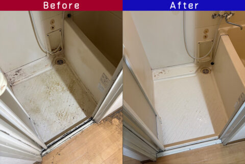 ビフォーアフター