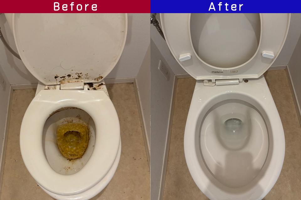 ビフォーアフター