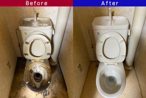 ビフォーアフター