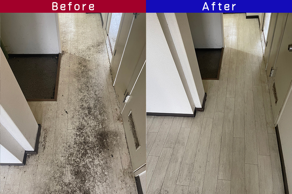 ビフォーアフター