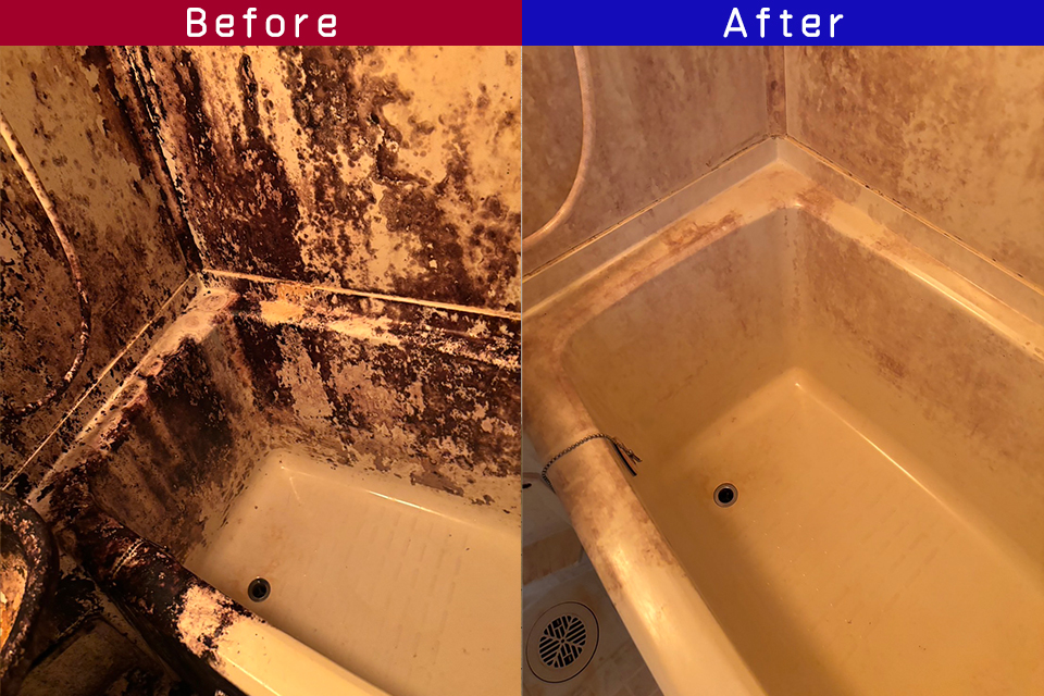 ビフォーアフター