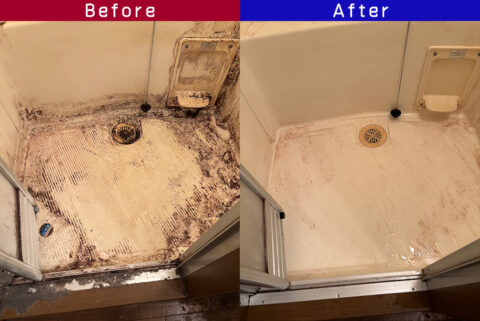 ビフォーアフター