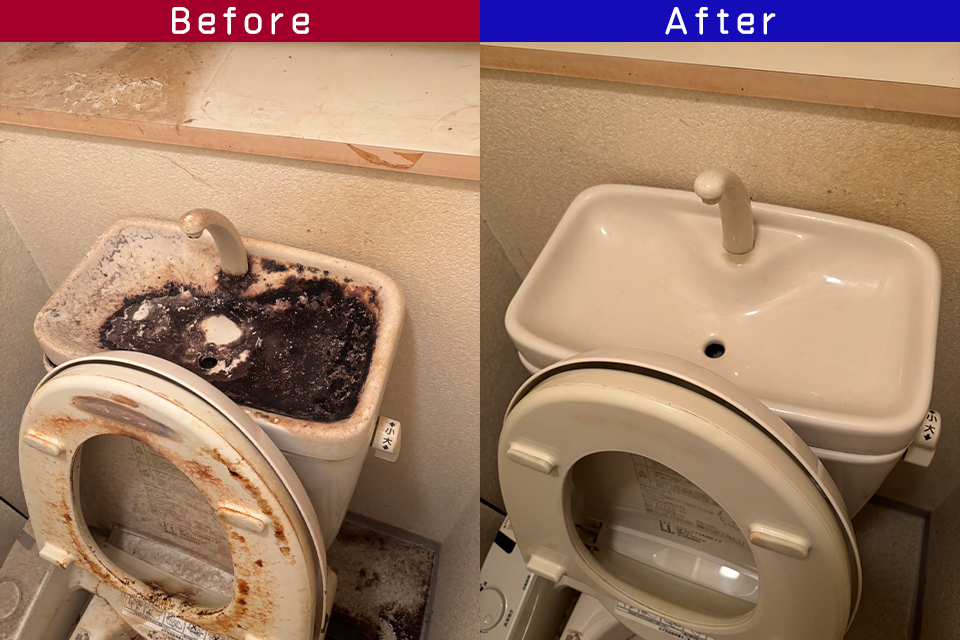 ビフォーアフター