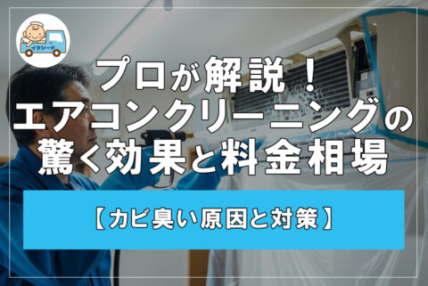 【カビ臭い原因と対策】 プロが解説！エアコンクリーニングの驚くべき効果と料金相場