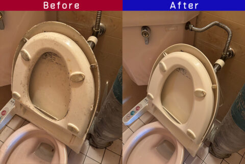 ビフォーアフター