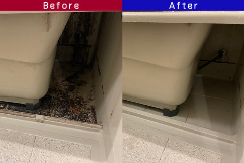 ビフォーアフター