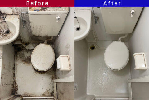 ビフォーアフター