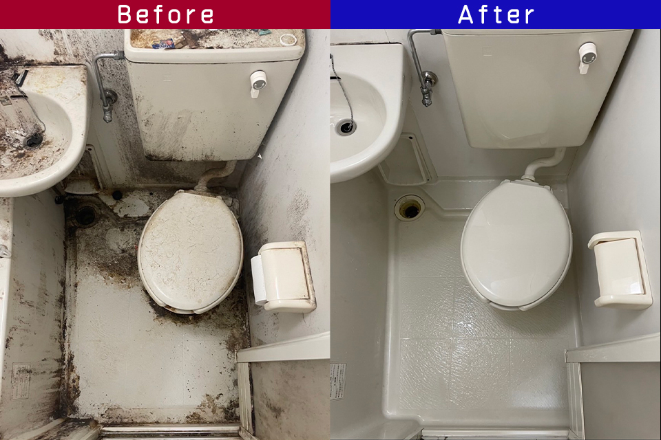 ビフォーアフター