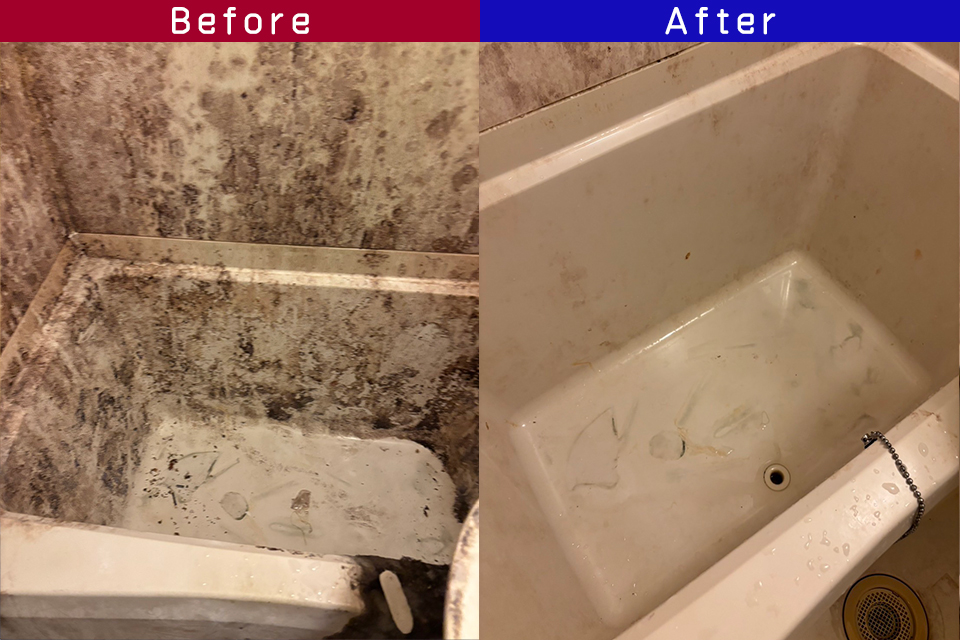 ビフォーアフター