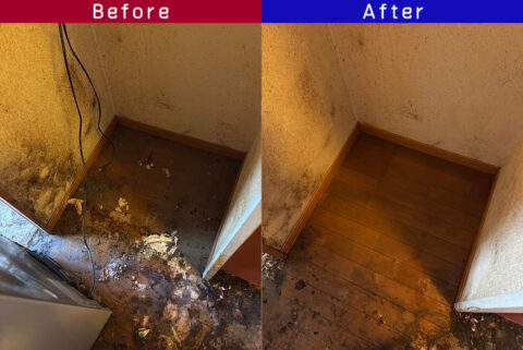 ビフォーアフター