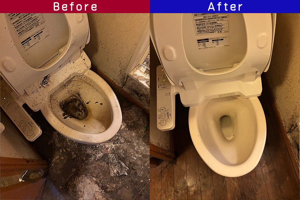 ビフォーアフター