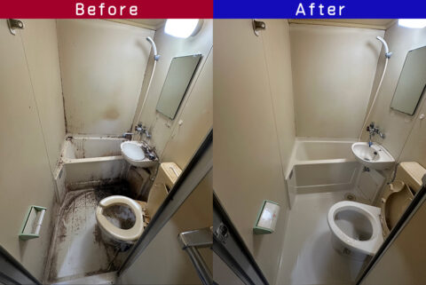 ビフォーアフター