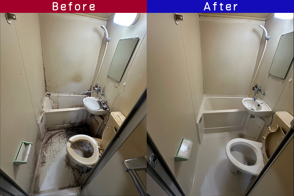 ビフォーアフター