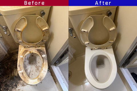 ビフォーアフター