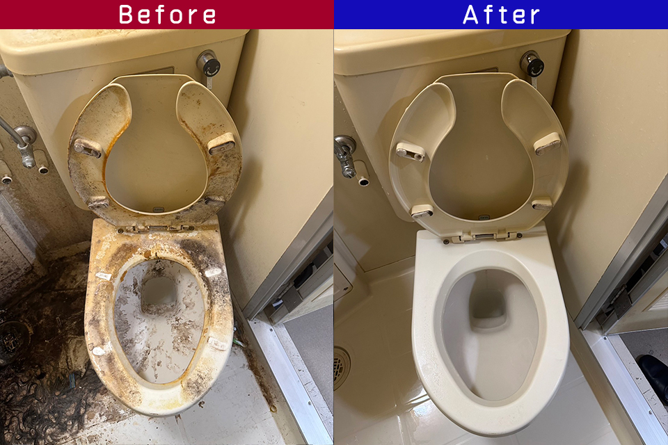 ビフォーアフター